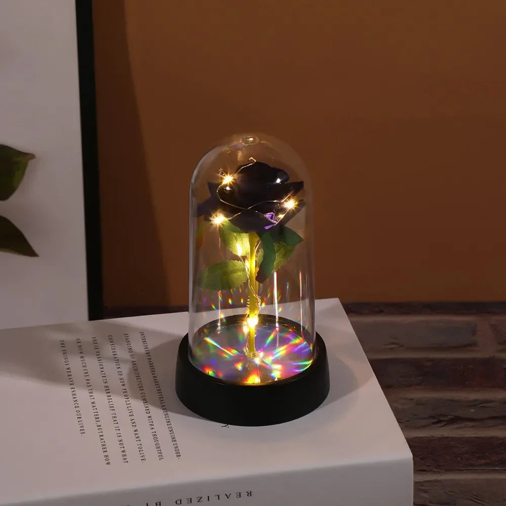 Beautiful Romantic Bright Pink Rosa for Decoration, Gifts, and Parties