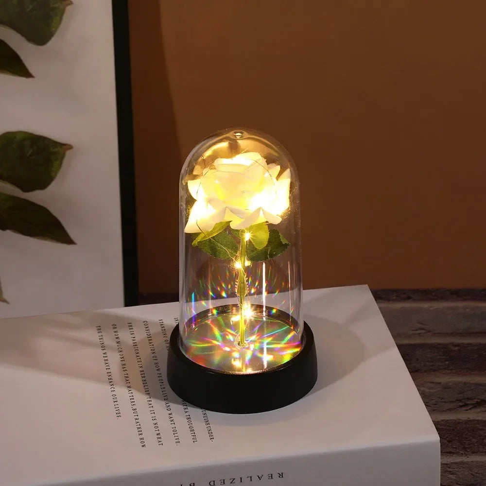 Beautiful Romantic Bright Pink Rosa for Decoration, Gifts, and Parties