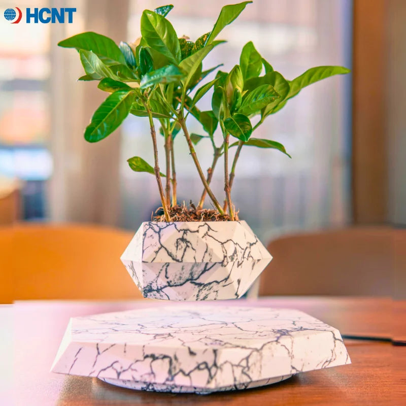 Floating Plant Pot for Succulents, Bonsai and Ornamental Plants