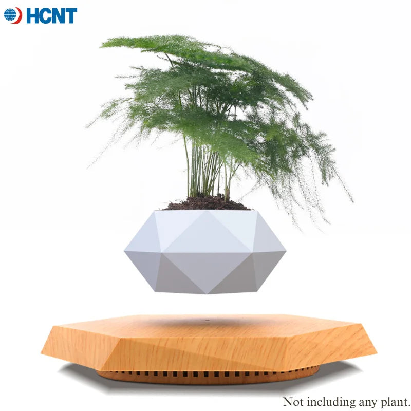 Floating Plant Pot for Succulents, Bonsai and Ornamental Plants