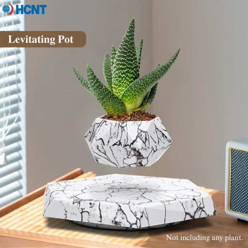 Floating Plant Pot for Succulents, Bonsai and Ornamental Plants