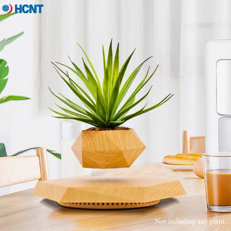 Floating Plant Pot for Succulents, Bonsai and Ornamental Plants