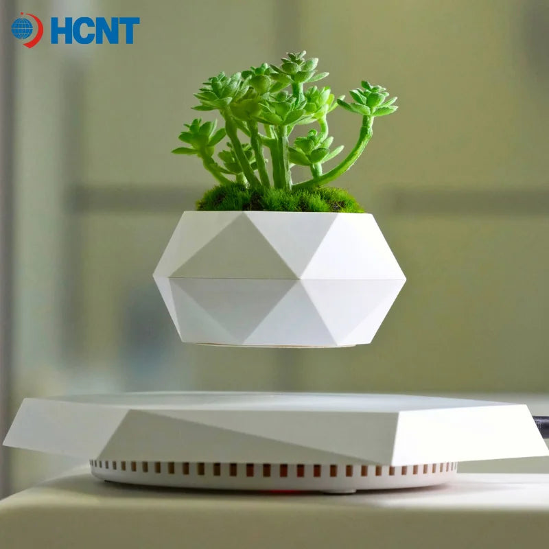Floating Plant Pot for Succulents, Bonsai and Ornamental Plants