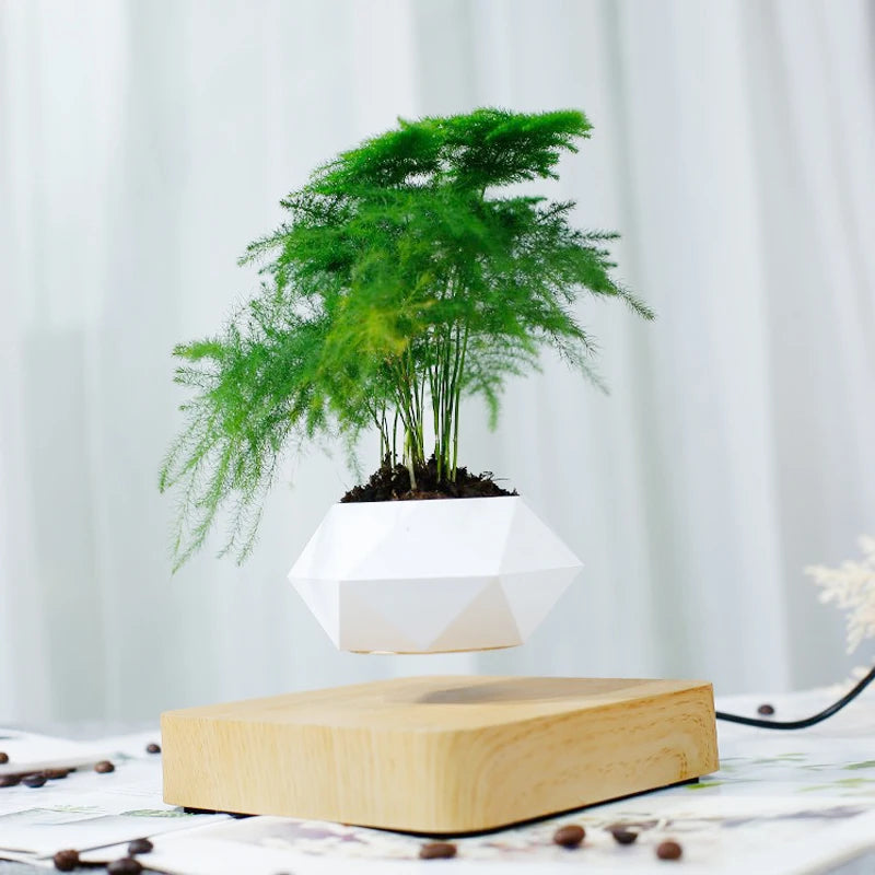 Magnetic Floating Bonsai Pot for Table Decoration