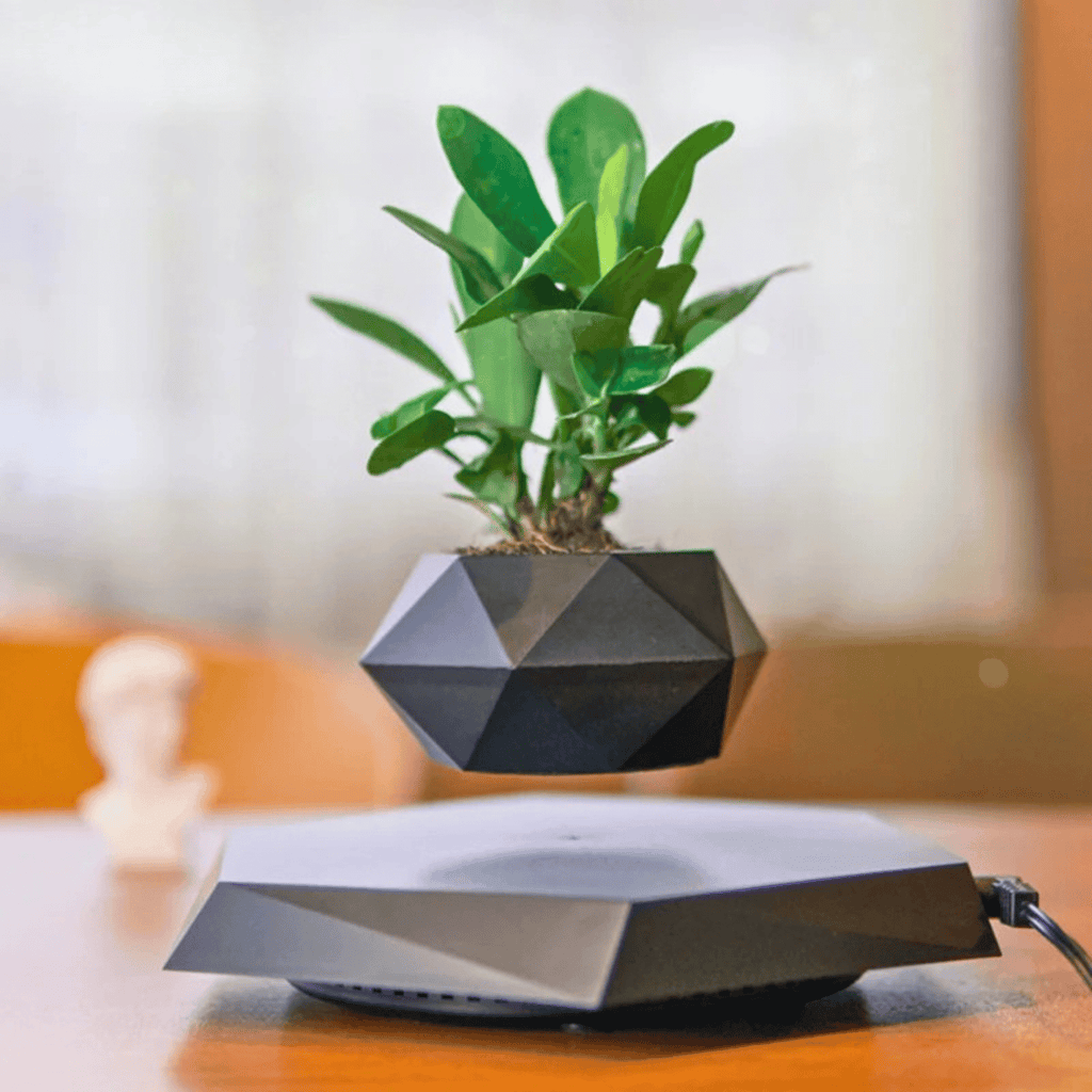 Floating Plant Pot for Succulents, Bonsai and Ornamental Plants