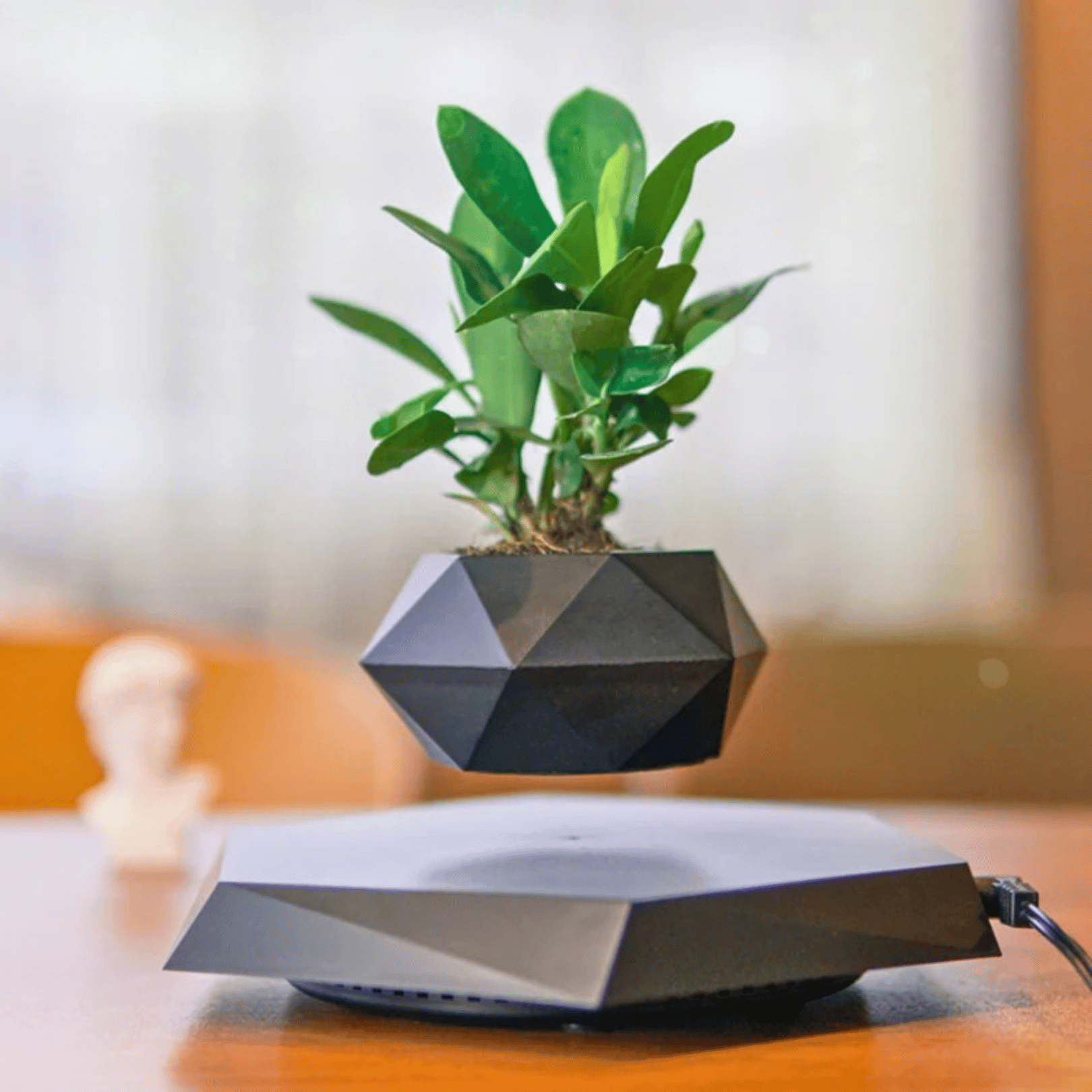 Floating Plant Pot for Succulents, Bonsai and Ornamental Plants