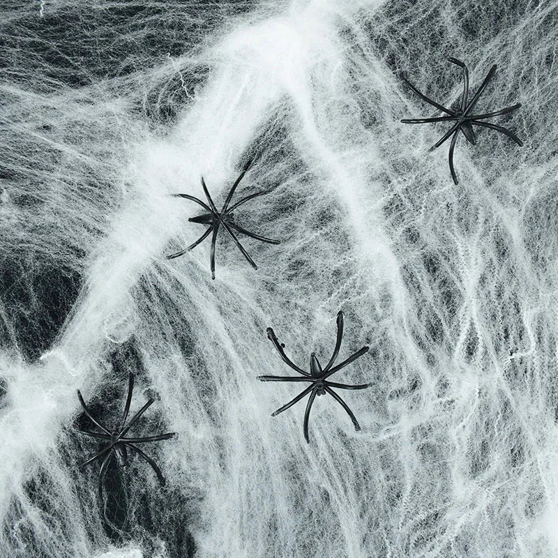 Halloween, Halloween decoration, Halloween pumpkin, Halloween store, scary decoration, ghost for decorating, skeleton for decorating, home decoration, Black Friday, Halloween date, Halloween lights, Halloween toys, trick or treat, night of terror, horror movie, Halloween 2025, Halloween party